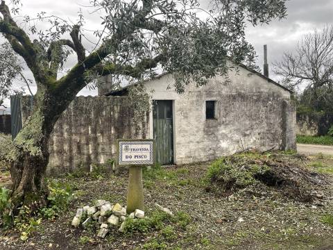 Moradia térrea com terreno / Casal Fernão João / Pombal / Leiria