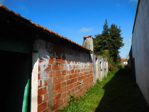 2 Moradias para reconstruir + Terreno 3700m2  / Comeira / Marinha Grande