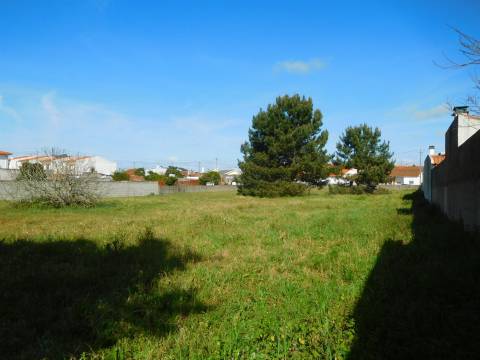 2 Moradias para reconstruir + Terreno 3700m2  / Comeira / Marinha Grande