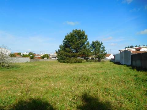 2 Moradias para reconstruir + Terreno 3700m2  / Comeira / Marinha Grande