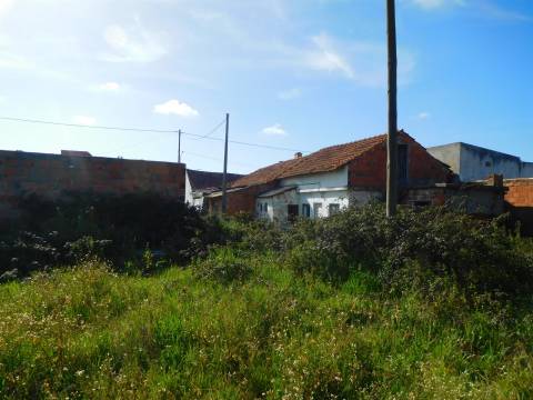 2 Moradias para reconstruir + Terreno 3700m2  / Comeira / Marinha Grande