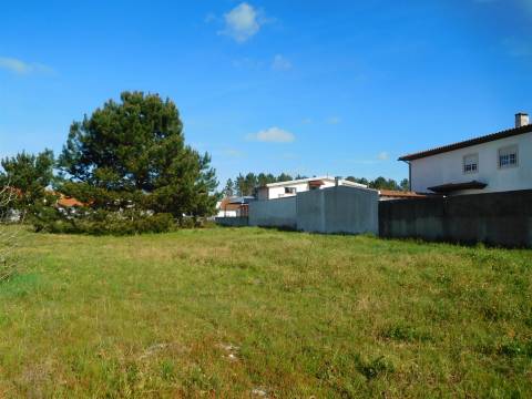 2 Moradias para reconstruir + Terreno 3700m2  / Comeira / Marinha Grande