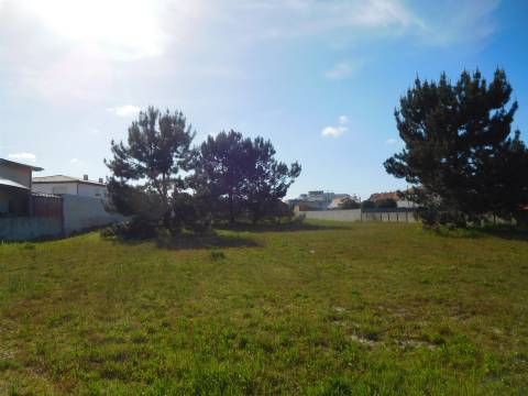 2 Moradias para reconstruir + Terreno 3700m2  / Comeira / Marinha Grande