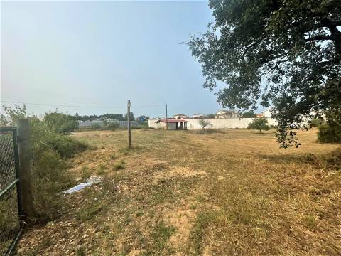 Terreno plano para construção / 5020 m2 / Gândara dos Olivais / Leiria