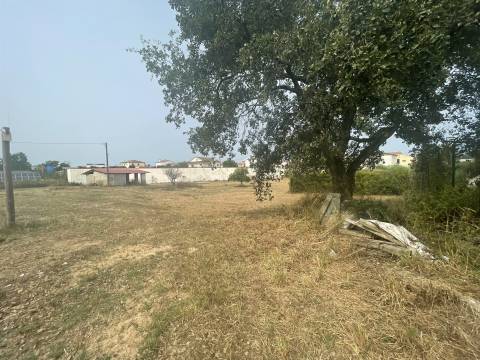 Terreno plano para construção / 5020 m2 / Gândara dos Olivais / Leiria