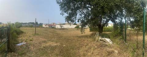 Terreno plano para construção / 5020 m2 / Gândara dos Olivais / Leiria