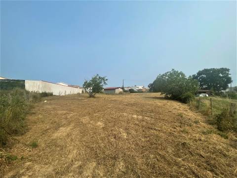 Terreno plano para construção / 5020 m2 / Gândara dos Olivais / Leiria