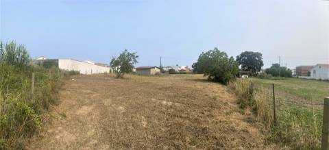 Terreno plano para construção / 5020 m2 / Gândara dos Olivais / Leiria