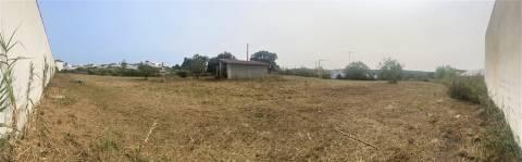 Terreno plano para construção / 5020 m2 / Gândara dos Olivais / Leiria