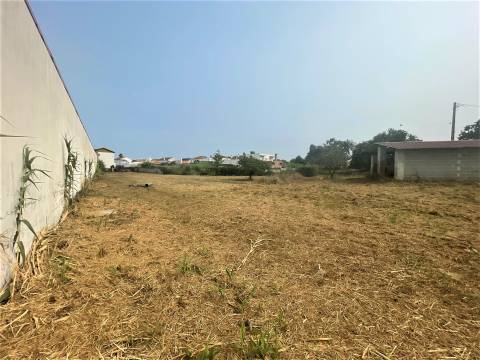 Terreno plano para construção / 5020 m2 / Gândara dos Olivais / Leiria