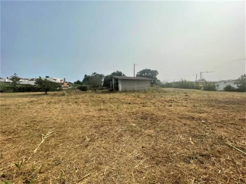 Terreno plano para construção / 5020 m2 / Gândara dos Olivais / Leiria