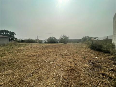 Terreno plano para construção / 5020 m2 / Gândara dos Olivais / Leiria