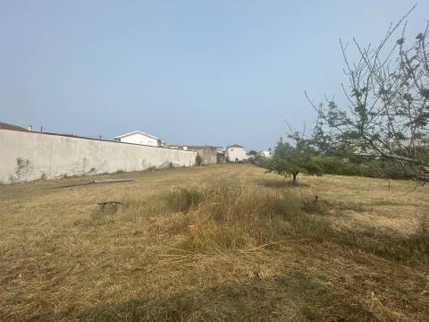 Terreno plano para construção / 5020 m2 / Gândara dos Olivais / Leiria