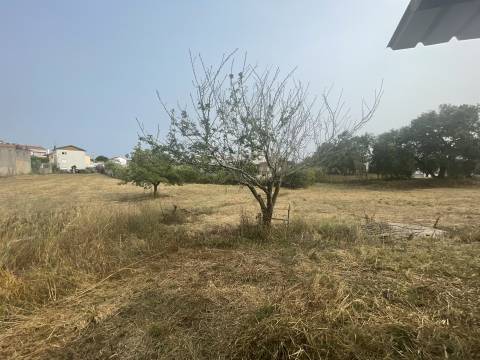 Terreno plano para construção / 5020 m2 / Gândara dos Olivais / Leiria