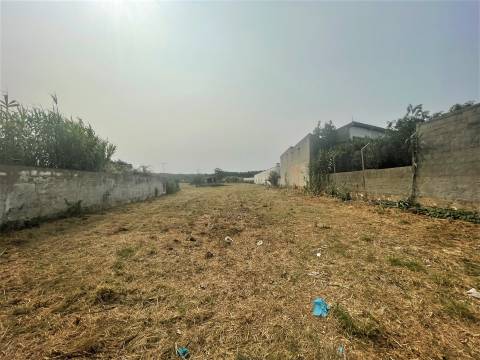 Terreno plano para construção / 5020 m2 / Gândara dos Olivais / Leiria