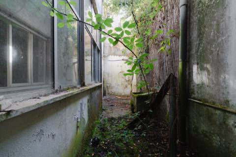 Prédio / 3 Pisos / Investimento /  Centro de Leiria