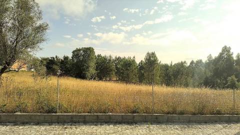 Terreno plano para construção / 9000 m2 / Boa Vista / Leiria