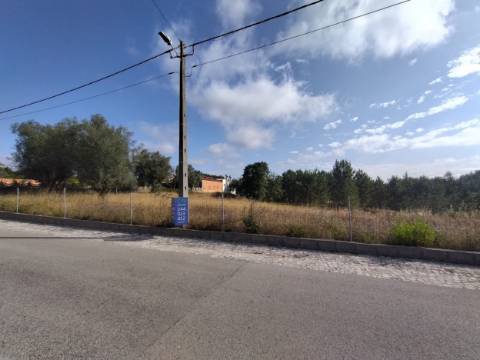 Terreno plano para construção / 9000 m2 / Boa Vista / Leiria