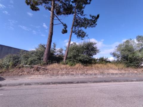 Terreno plano para construção / 9000 m2 / Boa Vista / Leiria