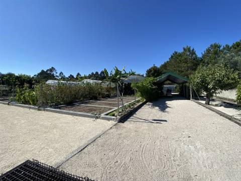 Quinta com Moradia T3+1 / Mata Mourisca / Pombal