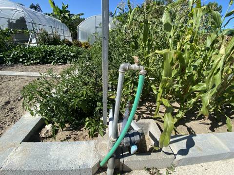 Quinta com Moradia T3+1 / Mata Mourisca / Pombal