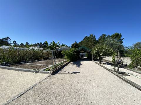 Quinta com Moradia T3+1 / Mata Mourisca / Pombal