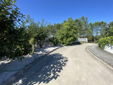 Quinta com Moradia T3+1 / Mata Mourisca / Pombal