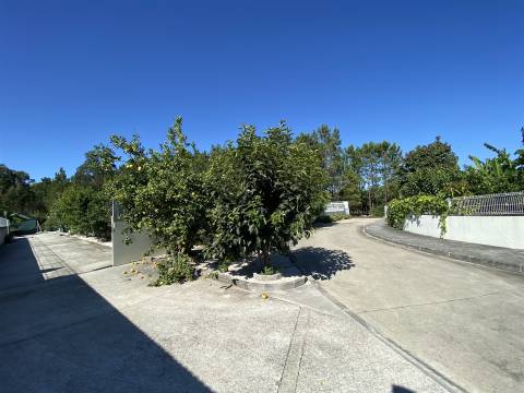 Quinta com Moradia T3+1 / Mata Mourisca / Pombal