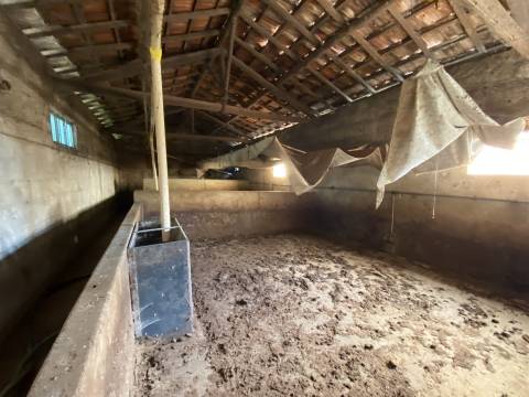 Armazém / Atividade industrial / Verdeiro / Ponte da Pedra