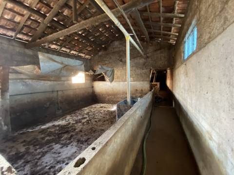 Armazém / Atividade industrial / Verdeiro / Ponte da Pedra