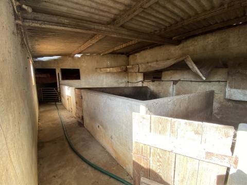 Armazém / Atividade industrial / Verdeiro / Ponte da Pedra