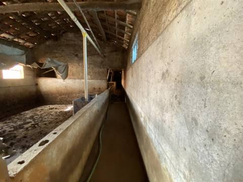 Armazém / Atividade industrial / Verdeiro / Ponte da Pedra