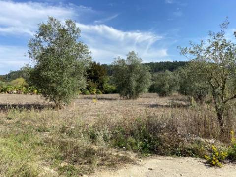 Terreno Rustico /Zona Industrial Espite / Ourem