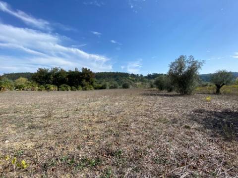 Terreno Rustico /Zona Industrial Espite / Ourem