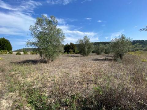 Terreno Rustico /Zona Industrial Espite / Ourem