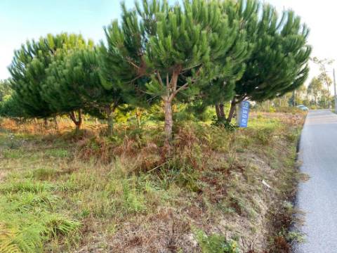 Terreno rustico / Lameira / Ortigosa