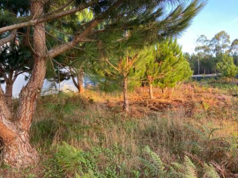 Terreno rustico / Lameira / Ortigosa