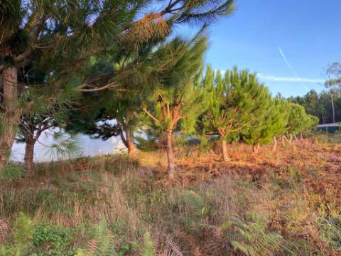 Terreno rustico / Lameira / Ortigosa