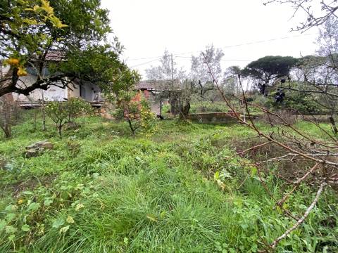 Moradias /São Simão de Litem / Pombal