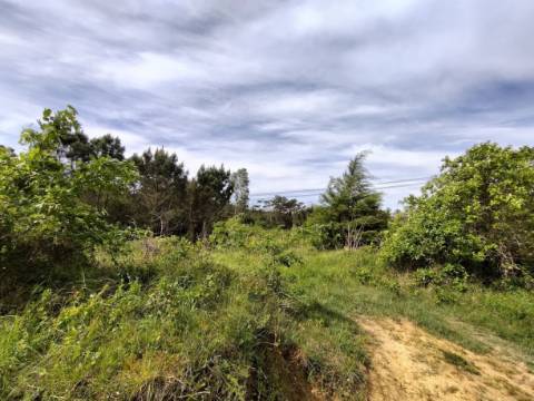 Terreno  Venda em Maiorca,Figueira da Foz