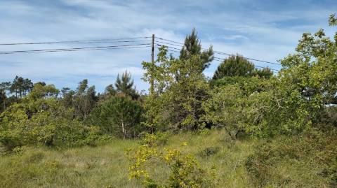Terreno  Venda em Maiorca,Figueira da Foz
