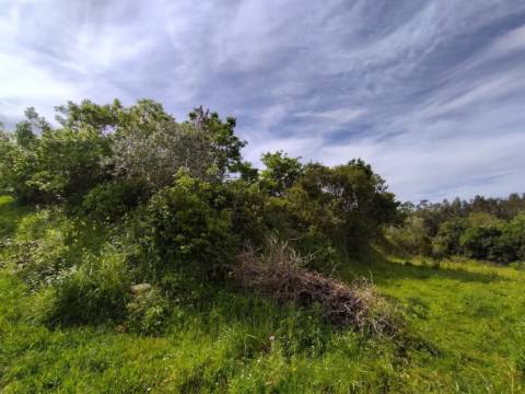 Terreno  Venda em Maiorca,Figueira da Foz