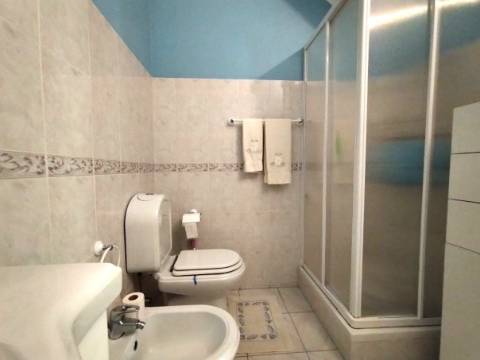 Moradia T4 / Armazém /Churrasqueira / Jardim / Quintal / Espite / Ourém