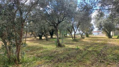 Terreno para construção / 914m2 /Lagoa / Ortigosa / Leiria