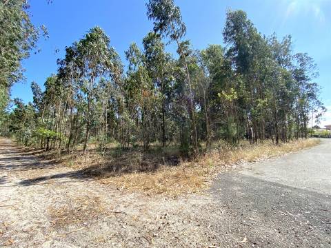 Terreno de Construção / Casal Novo / Amor