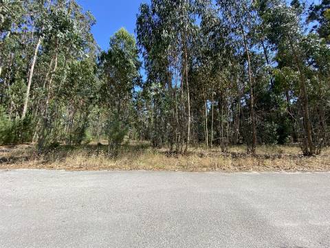 Terreno de Construção / Casal Novo / Amor