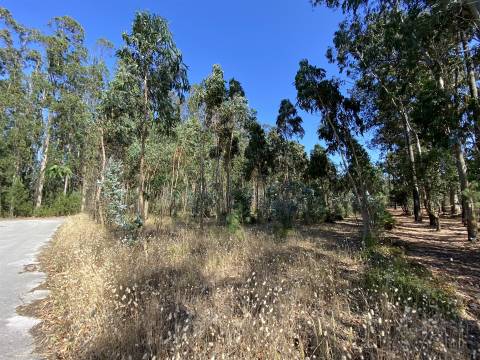 Terreno de Construção / Casal Novo / Amor