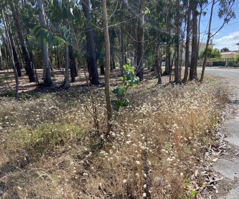 Terreno de Construção / Casal Novo / Amor