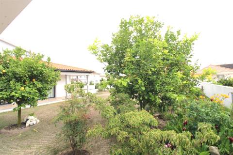 Moradia Isolada / Semi-nova / Vieira de Leiria