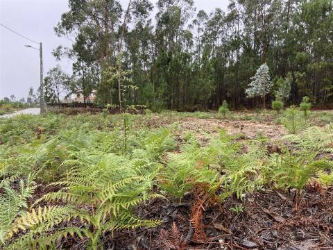 Terreno com Projecto Aprovado / Lameira / Ortigosa / Leiria